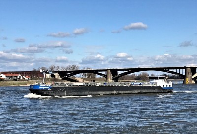 Rain-Empress-1-19-03-2021-Nijmegen (2).jpg (197.76 Kio) Vu 1112 fois Rain-Empress-1-19-03-2021-Nijmegen (2).jpg