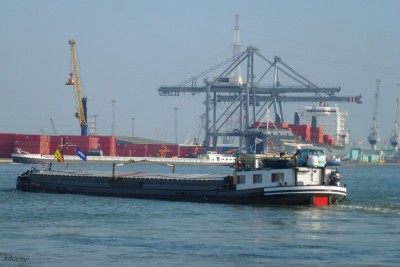 CONFIANCE à Anvers en septembre 2013 (3).JPG (105.28 Kio) Vu 1075 fois CONFIANCE à Anvers en septembre 2013 (3).JPG