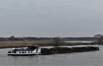 Lemarna-2-16-01-2021-Wellerlooi (2).JPG (138.89 Kio) Vu 1152 fois Lemarna-2-16-01-2021-Wellerlooi (2).JPG