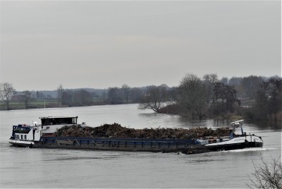 Lemarna-1-16-01-2021-Wellerlooi (2).JPG (152.86 Kio) Vu 1152 fois Lemarna-1-16-01-2021-Wellerlooi (2).JPG