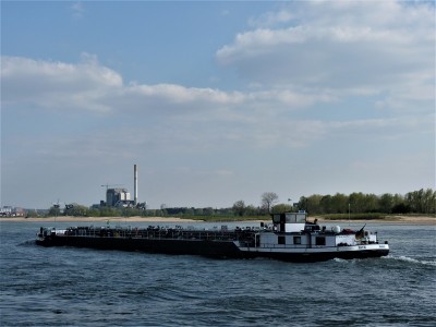 Rita-4-11-04-2019-Oosterhout (2).JPG (155.41 Kio) Vu 1060 fois Rita-4-11-04-2019-Oosterhout (2).JPG