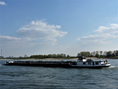 Rita-3-11-04-2019-Oosterhout (2).JPG (143.67 Kio) Vu 1060 fois Rita-3-11-04-2019-Oosterhout (2).JPG