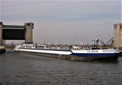 Flava-1-16-03-2005-sluis-Lith (2).JPG