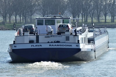 Flava-3-02-03-2021-sluis-Grave (2).JPG