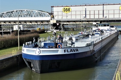 Flava-2-02-03-2021-sluis-Grave (2).JPG