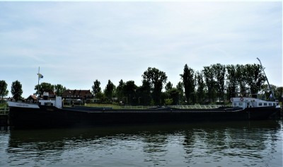 sardonix-2-05-06-2010 (2).JPG