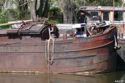 Wirotius - inconnu 1 (3).JPG (187.65 Kio) Vu 5623 fois Wirotius - inconnu 1 (3).JPG