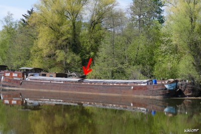 Wirotius - inconnu 2 (1).JPG (228.13 Kio) Vu 5860 fois Wirotius - inconnu 2 (1).JPG