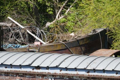 Wirotius - inconnu 2 (2).JPG (217.25 Kio) Vu 5623 fois Wirotius - inconnu 2 (2).JPG