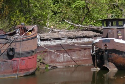 Wirotius - inconnu 2 (3).JPG (199.24 Kio) Vu 5860 fois Wirotius - inconnu 2 (3).JPG