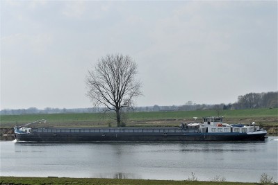 Star-Flyer-3-20-04-2021-Maas-Grave (2).JPG