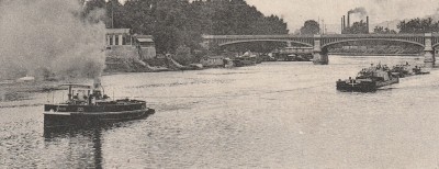 Robuste - 10y.jpg (173.86 Kio) Vu 1738 fois Robuste - 10y.jpg