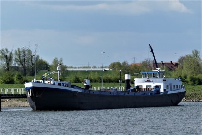 Pieternella-1-02-05-2021-Driel (2).JPG