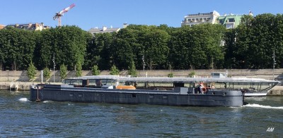 Inconnu gros cailloux b.jpeg (245.83 Kio) Vu 1201 fois Inconnu gros cailloux b.jpeg