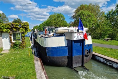 JOSHUA - Hénaménil - 29 mai 2021 (2).jpg (221.31 Kio) Vu 2245 fois JOSHUA - Hénaménil - 29 mai 2021 (2).jpg