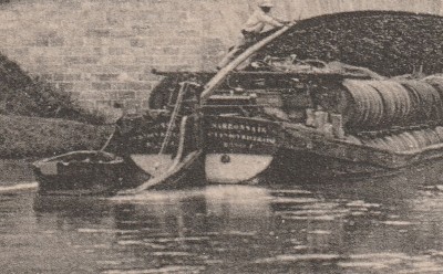 NARBONNAIS Vagus 04.jpg (166.31 Kio) Vu 1521 fois NARBONNAIS Vagus 04.jpg