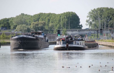 IMG_2450_1.JPG (131.51 Kio) Vu 1154 fois IMG_2450_1.JPG