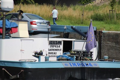 IMG_2639_1.JPG (131.75 Kio) Vu 1348 fois IMG_2639_1.JPG