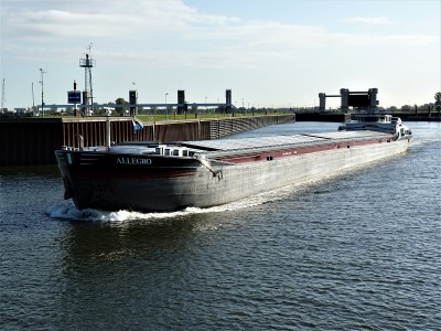 allegro-2-12-10-2009 (2).JPG (238.57 Kio) Vu 1935 fois allegro-2-12-10-2009 (2).JPG