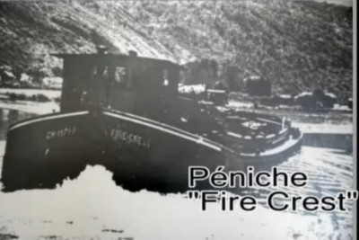FIRE-CREST vu de l'arrière.jpg