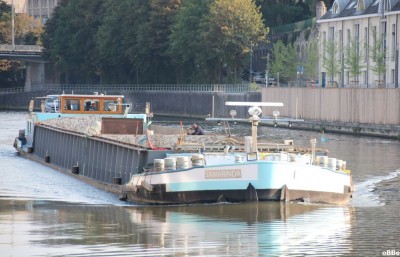 IMG_3135_1.JPG (143.06 Kio) Vu 1901 fois IMG_3135_1.JPG