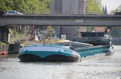 IMG_3117_1.JPG (140.79 Kio) Vu 861 fois IMG_3117_1.JPG