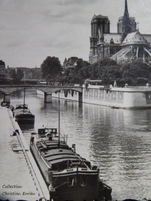 P1000752.JPG (187.07 Kio) Vu 1456 fois P1000752.JPG