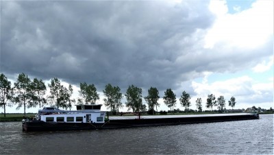 Vista-Bonita-3-06-06-2020-Stroobos (2).JPG (168.62 Kio) Vu 2169 fois Vista-Bonita-3-06-06-2020-Stroobos (2).JPG