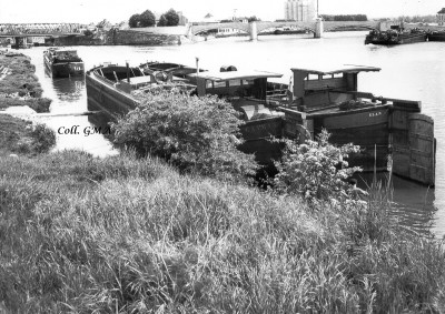 PH-montereau-elan+caiman.jpg (991.22 Kio) Vu 974 fois PH-montereau-elan+caiman.jpg