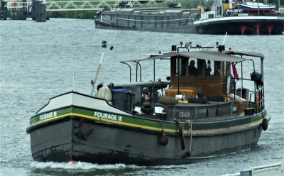 Fourage-III-1-01-07-2020-sluis-Lith (2).JPG (210.43 Kio) Vu 3035 fois Fourage-III-1-01-07-2020-sluis-Lith (2).JPG