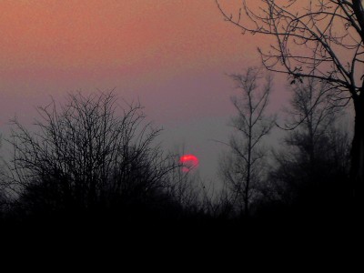 PICT2151SOLEILI.jpg (104.73 Kio) Vu 1029 fois PICT2151SOLEILI.jpg