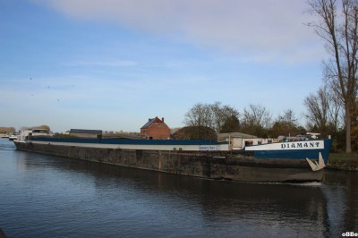 IMG_3508_1.JPG