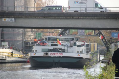 IMG_3501_1.JPG (133.21 Kio) Vu 951 fois IMG_3501_1.JPG