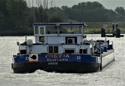 Freya-8-30-06-2020-sluis-Lith (2).JPG