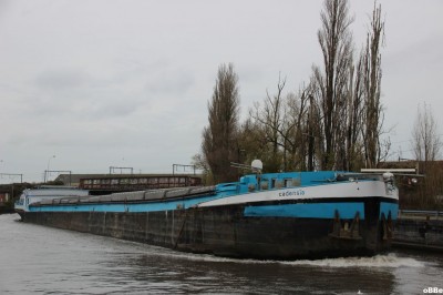 IMG_3591_1.JPG (111.98 Kio) Vu 877 fois IMG_3591_1.JPG