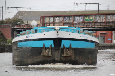 IMG_3589_1.JPG (130.5 Kio) Vu 878 fois IMG_3589_1.JPG