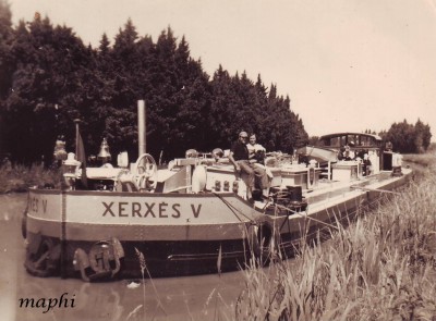 xerxes V@maphi.jpg