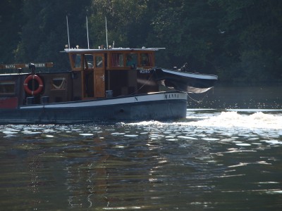 P9157334 (Copier).JPG