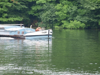 P6267398 (Copier).JPG (1.17 Mio) Vu 1388 fois P6267398 (Copier).JPG