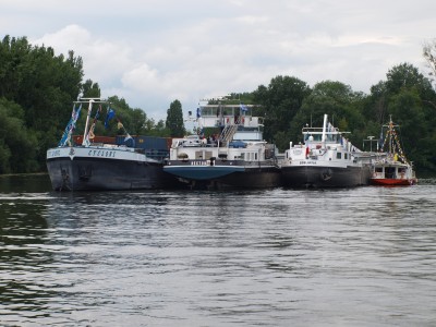 P6267363 (Copier).JPG (1 Mio) Vu 34811 fois P6267363 (Copier).JPG