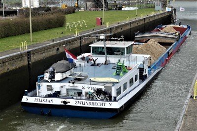Pelikaan-7-13-03-2021-sluis-Grave (2).JPG