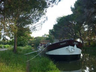 P1050293.JPG