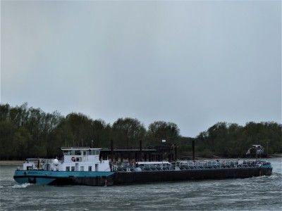 Barbara-J-Jr-3-13-04-2019-Oosterhout (2).JPG