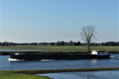 Tesco-8-3-28-10-2021-Grave (2).JPG (178.38 Kio) Vu 1649 fois Tesco-8-3-28-10-2021-Grave (2).JPG