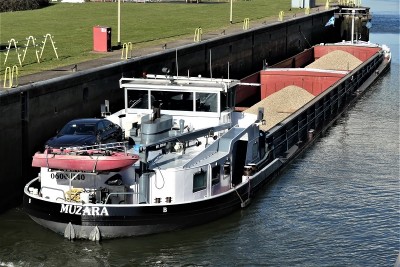 Muzara-2-02-03-2021-sluis-Grave (2).JPG