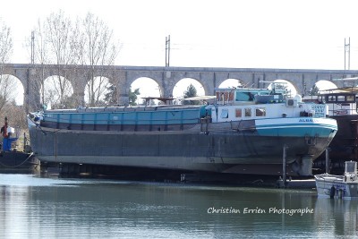 Albatros Veneux - Copie.JPG (192.01 Kio) Vu 1550 fois Albatros Veneux - Copie.JPG