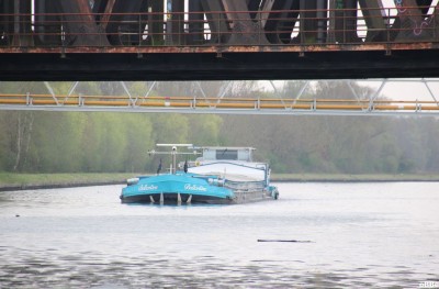 IMG_4242_1.JPG (118.93 Kio) Vu 753 fois IMG_4242_1.JPG