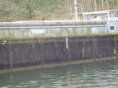 P1017808 (Copier).JPG