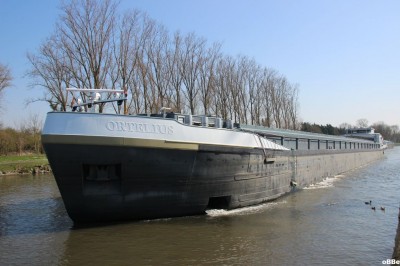 IMG_3941_1.JPG