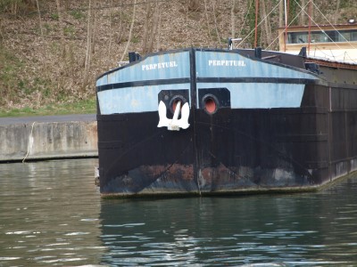 P1017809 (Copier).JPG (877.7 Kio) Vu 1114 fois P1017809 (Copier).JPG